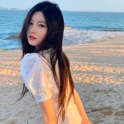 小小间谍:博客战争